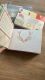 SRH Limited Edition - Oktober 2025 Flip Book & Sweet Peppermint