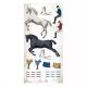 STP Collectables  6x12" - Romantic Horses