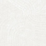 FDC Paper Pack 8x8" - Funny Fox Boy