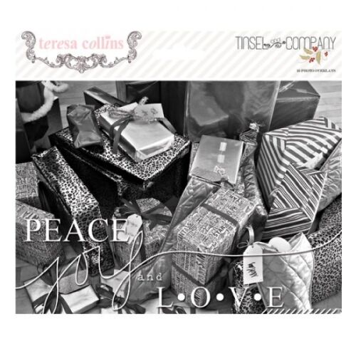 TCL Photo Overlays - Tinsel & Company