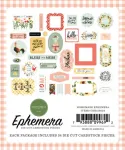 CTB Paper Pack 12x12" - Collection Kit Homemade