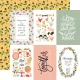 CTB Paper Pack 12x12" - Collection Kit Homemade