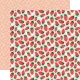 CTB Paper Pack 12x12" - Collection Kit Homemade
