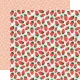 CTB Paper Pack 12x12" - Collection Kit Homemade