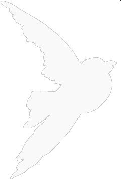 HSW Sticker - Bird Weiss