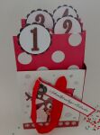 SRH Limited Edition - Fröhlicher Adventssonntage-Kalender (rot)