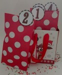 SRH Limited Edition - Fröhlicher Adventssonntage-Kalender (rot)