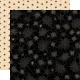 CTB Paper Pack 12x12" - Collection Kit Hokus Pokus