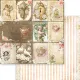 MMP Paper Pack 12x12 - Cherished Elegance