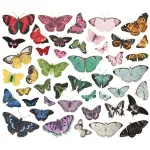 SST Bits & Pieces - Simple Vintage Essentials Color...