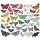 SST Bits & Pieces - Simple Vintage Essentials Color Palette Butterfly