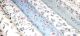 CFC Paper Pack 12x12" - English Garden
