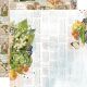 SST Paper Pack 12x12" - Collection Kit Farmhouse Garden