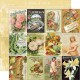 SST Paper Pack 12x12" - Collection Kit Farmhouse Garden