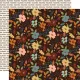 SST Paper Pack 12x12" - Collection Kit Cider & Donuts
