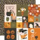 SST Paper Pack 12x12" - Collection Kit FaBOOlous